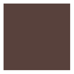 Chocolat - Carré 20 x 20